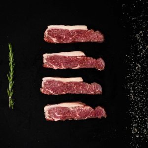 סינטה פרימיום