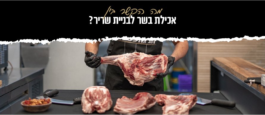 מה הקשר בין אכילת בשר לבניית שריר?